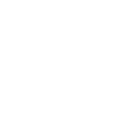 Github logo